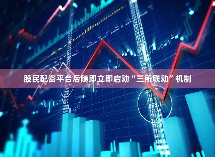 股民配资平台后随即立即启动“三所联动”机制